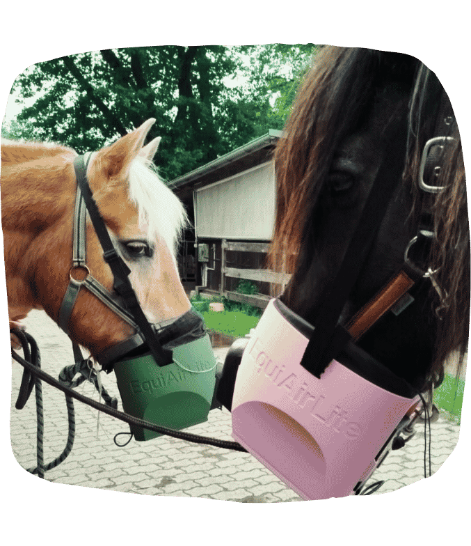 Pferd mit EquiAirLite Inhalator Limited Edition Green